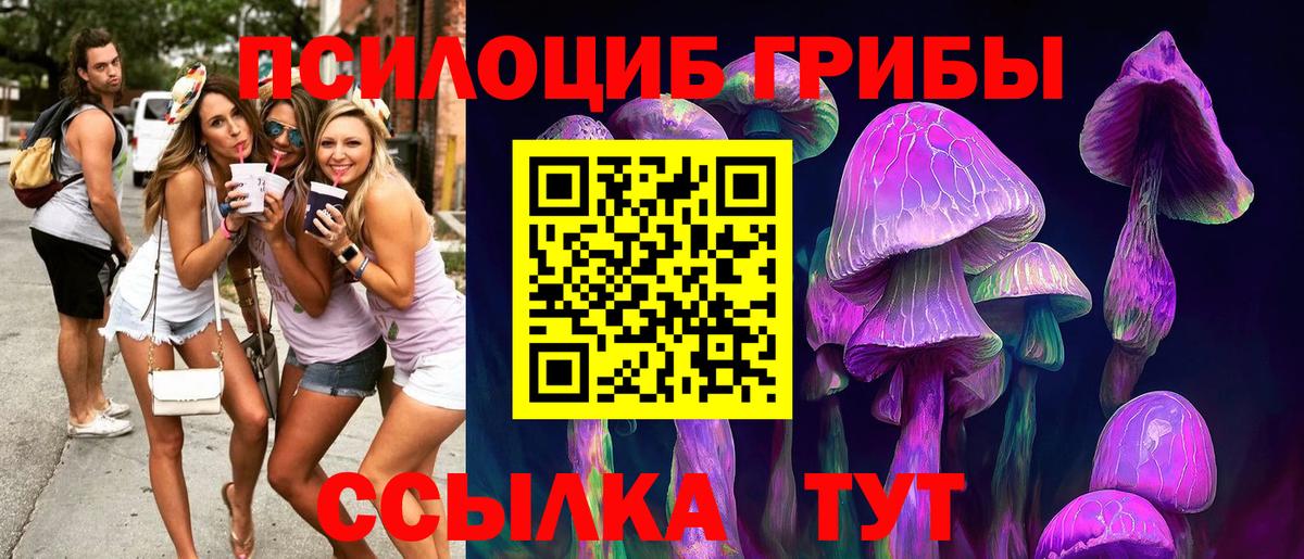 сколько стоит  Псилоцибиновые грибы прущие грибы  Зеленодольск  Вход с VPN  Галлюциногенные грибы мухоморы 