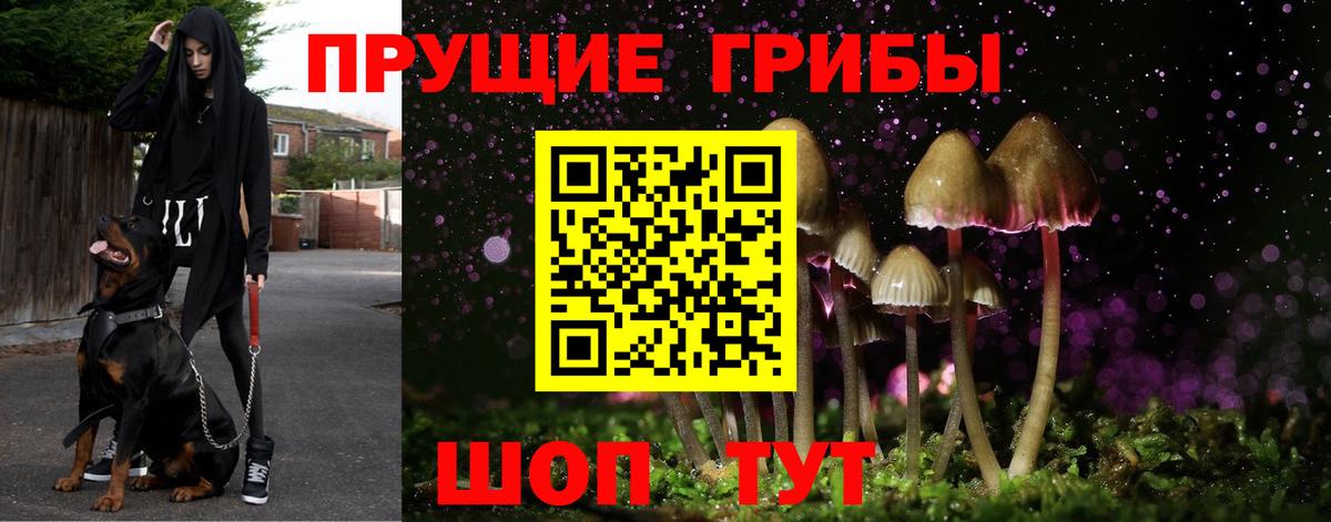 Галлюциногенные грибы мицелий Зеленодольск